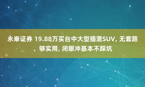 永崋证券 19.88万买台中大型插混SUV, 无套路、够实用, 闭眼冲基本不踩坑